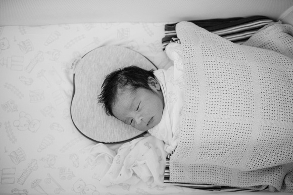 Baby Harrison HR-4black and white copies